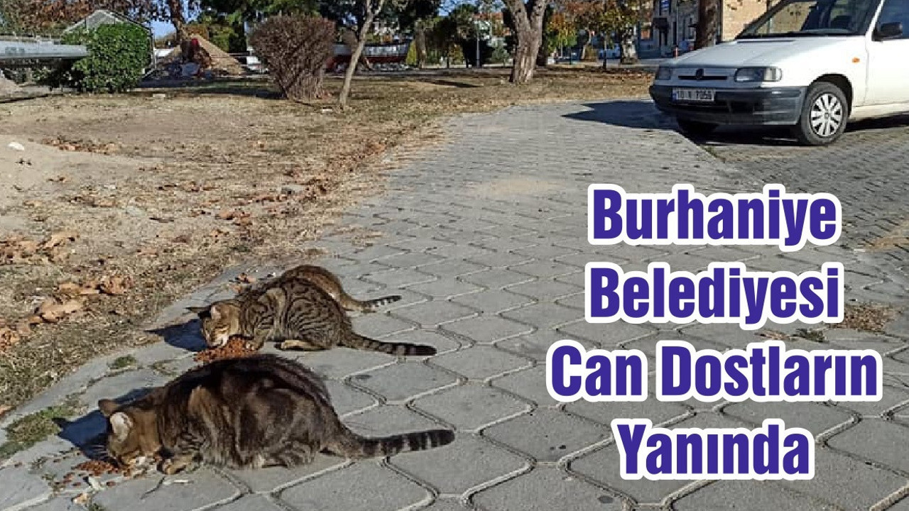 Burhaniye Belediyesi Can Dostların Yanında