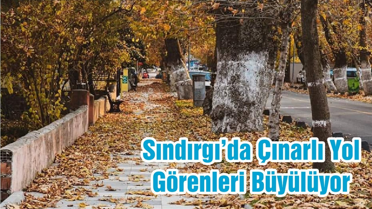 Sındırgı’da Çınarlı Yol Görenleri Büyülüyor