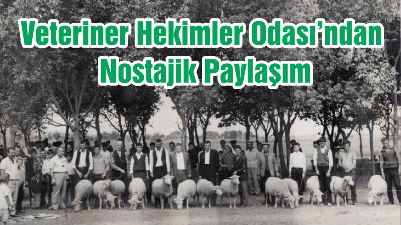 Veteriner Hekimler Odası’ndan Nostajik Paylaşım