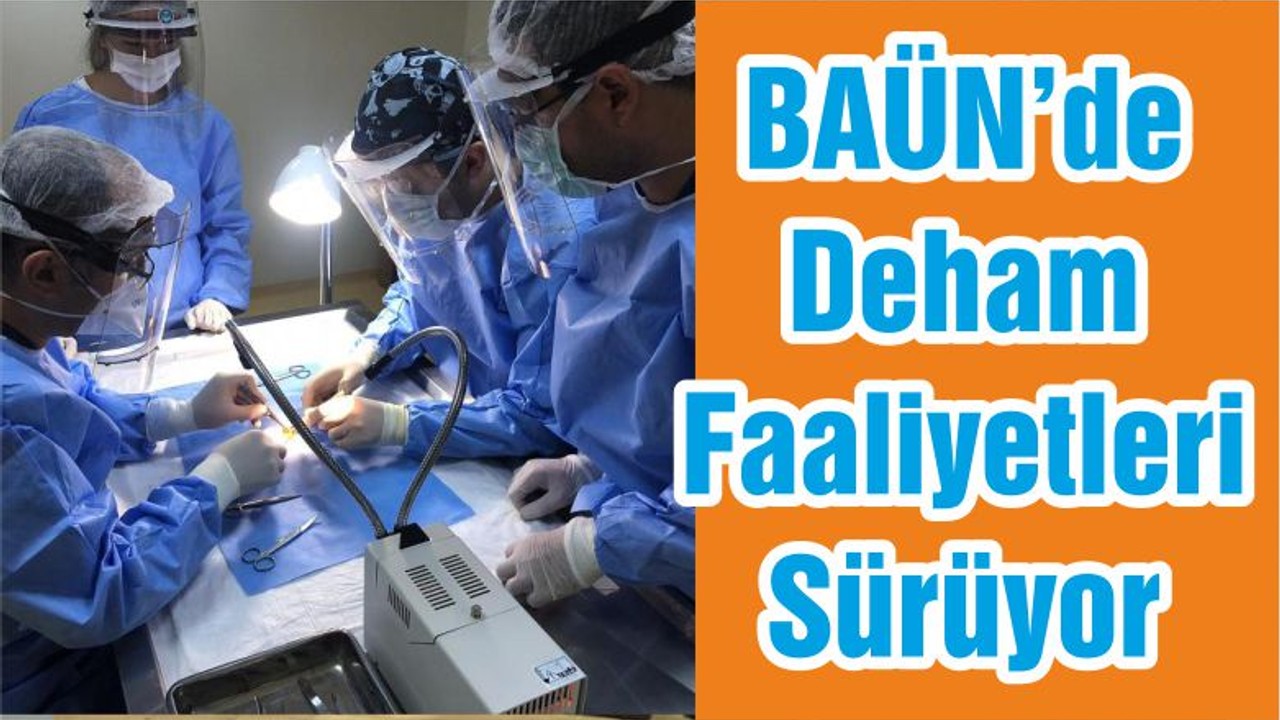 BAÜN’de Deham Faaliyetleri Sürüyor