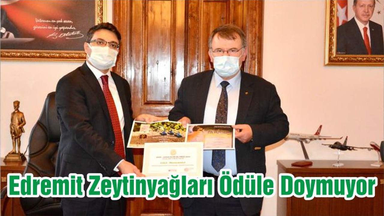 Edremit Zeytinyağları Ödüle Doymuyor