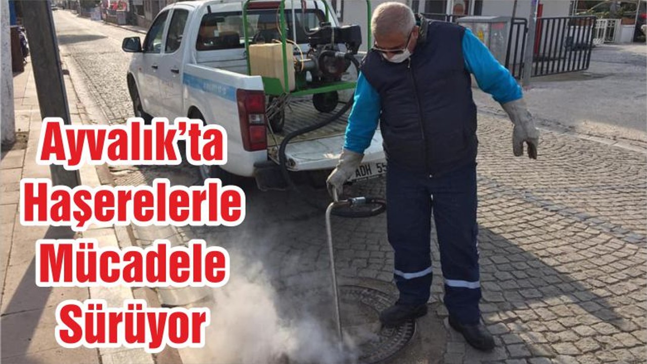 Ayvalık’ta Haşerelerle Mücadele Sürüyor