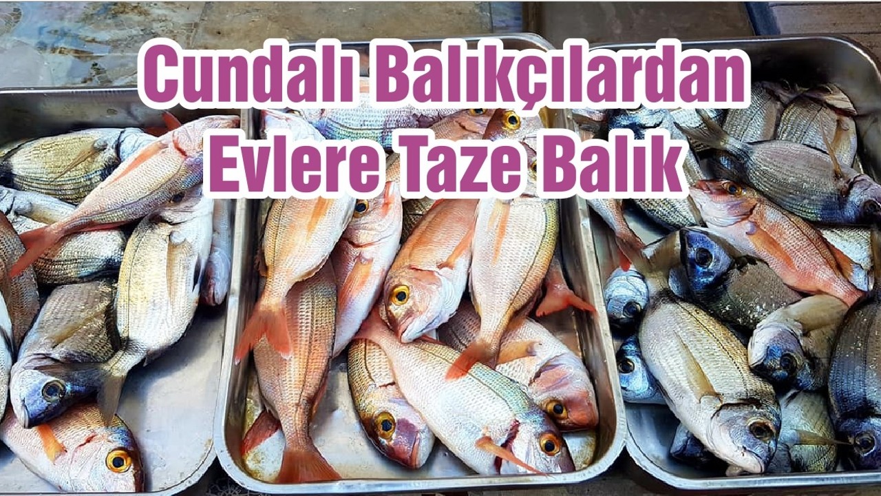 Cundalı Balıkçılardan Evlere Taze Balık