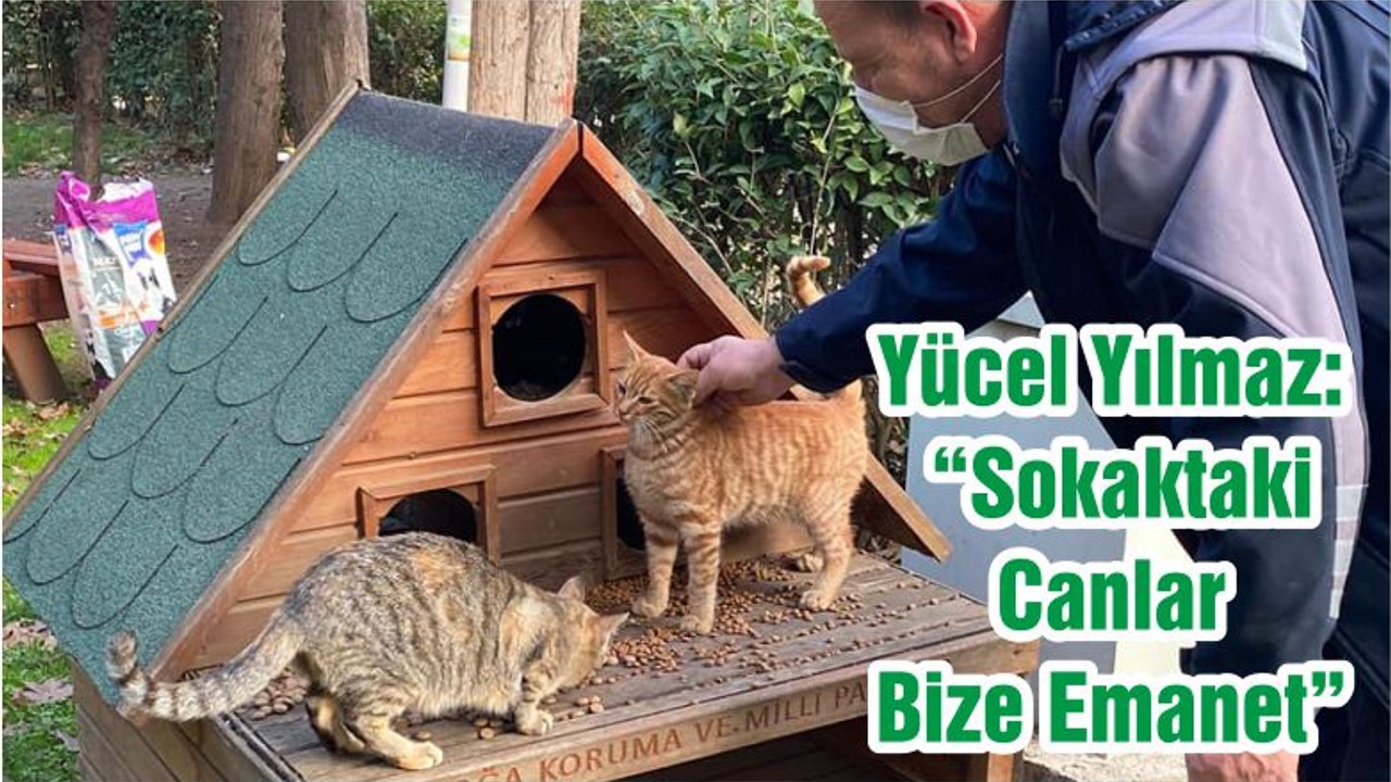 Yücel Yılmaz: “Sokaktaki Canlar Bize Emanet”