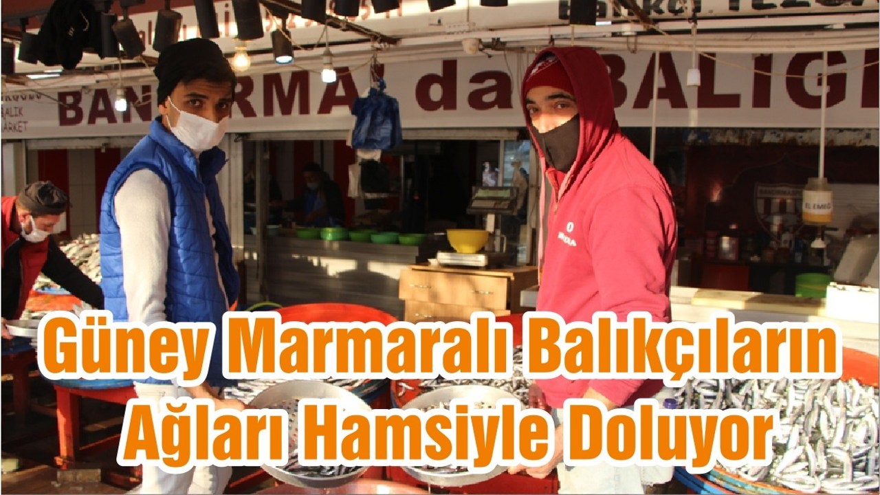 Güney Marmaralı Balıkçıların Ağları Hamsiyle Doluyor