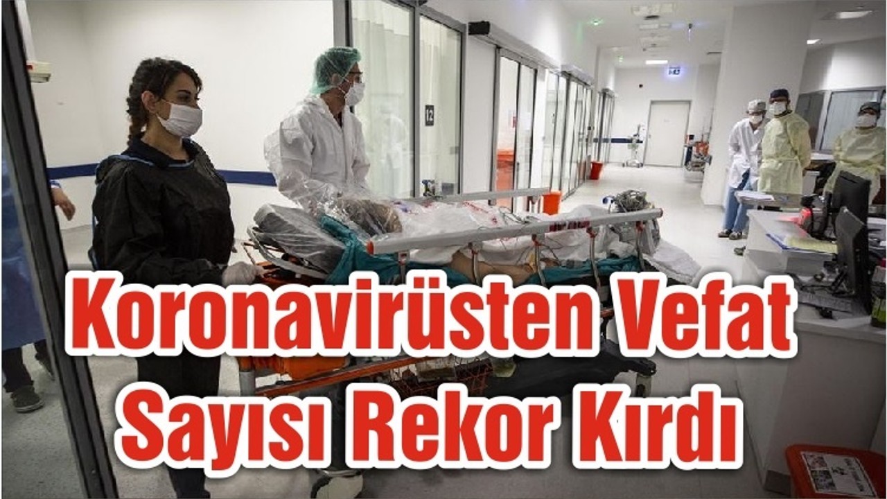 Koronavirüsten Vefat Sayısı Rekor Kırdı