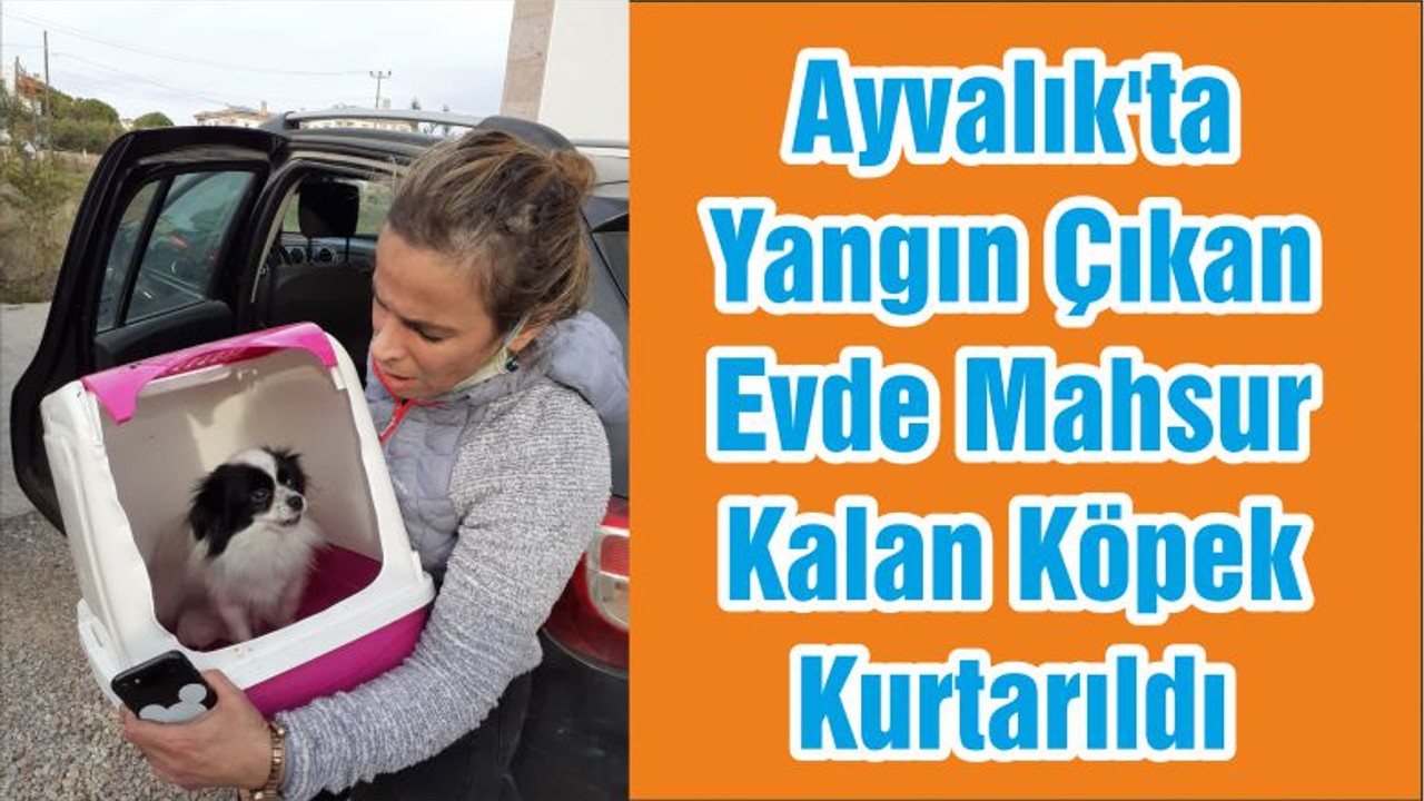 Ayvalık'ta Yangın Çıkan Evde Mahsur Kalan Köpek Kurtarıldı