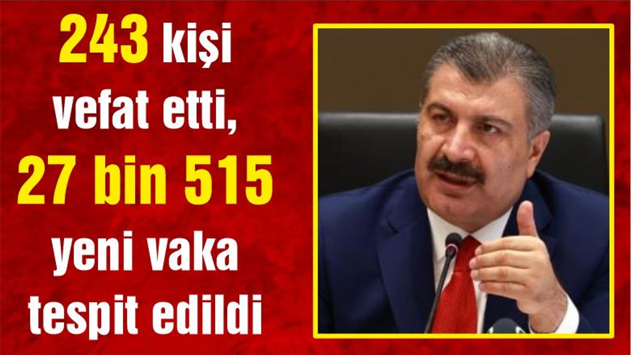 Türkiye'de Koronavirüs Can Kayıpları Artıyor