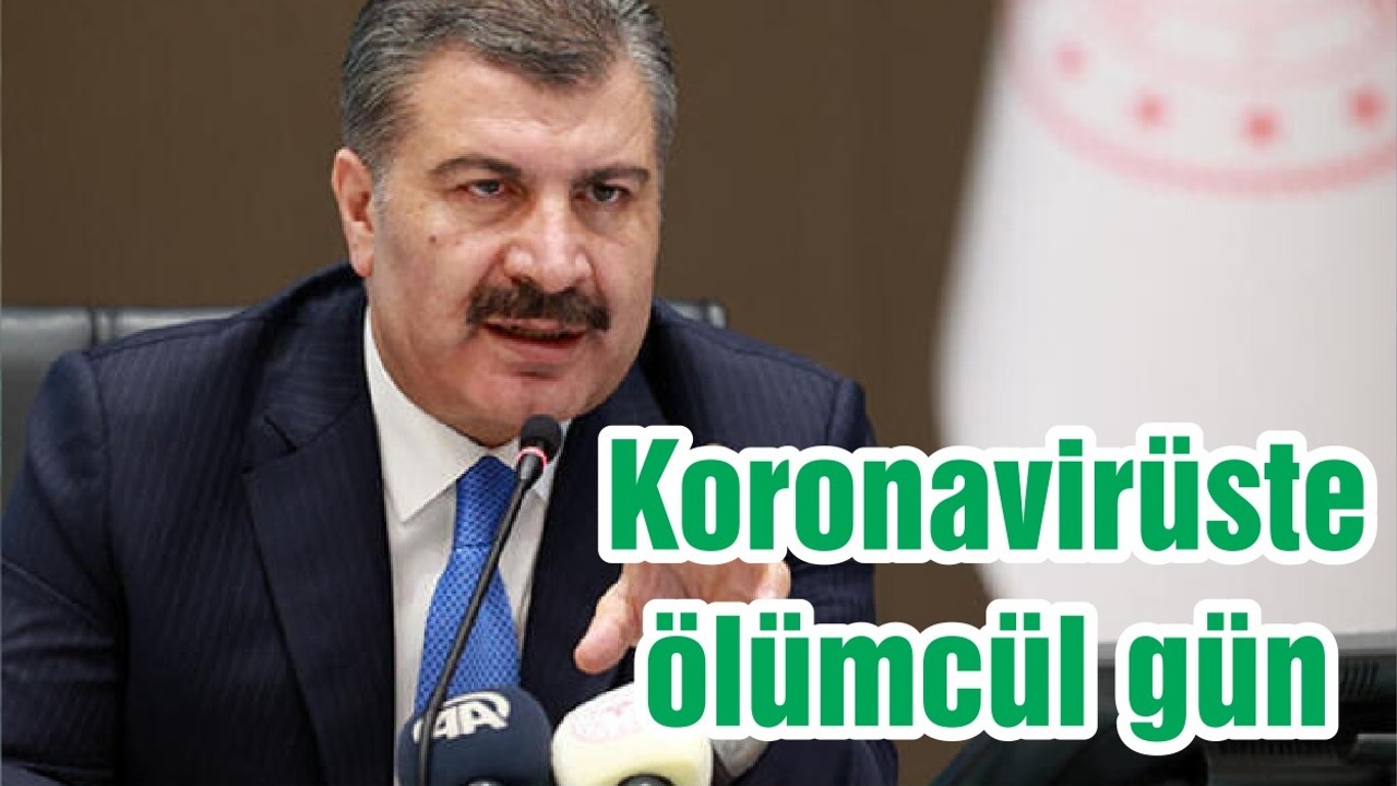 Koronavirüste ölümcül gün