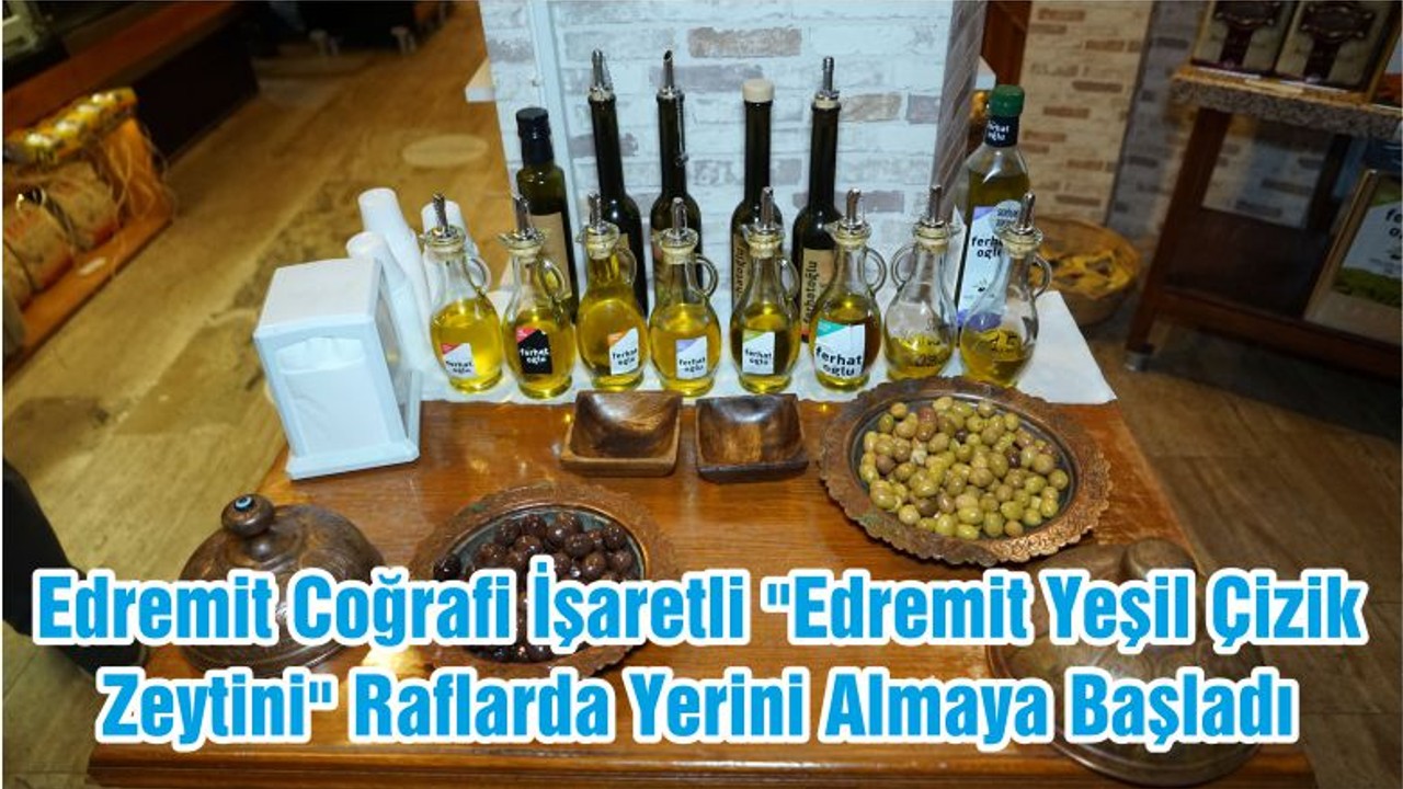 Coğrafi İşaretli "Edremit Yeşil Çizik Zeytini" Raflarda Yerini Almaya Başladı