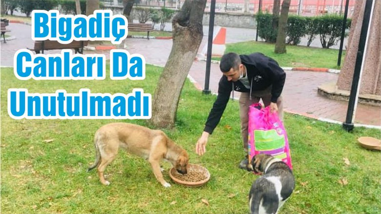 Bigadiç Canları Da Unutulmadı
