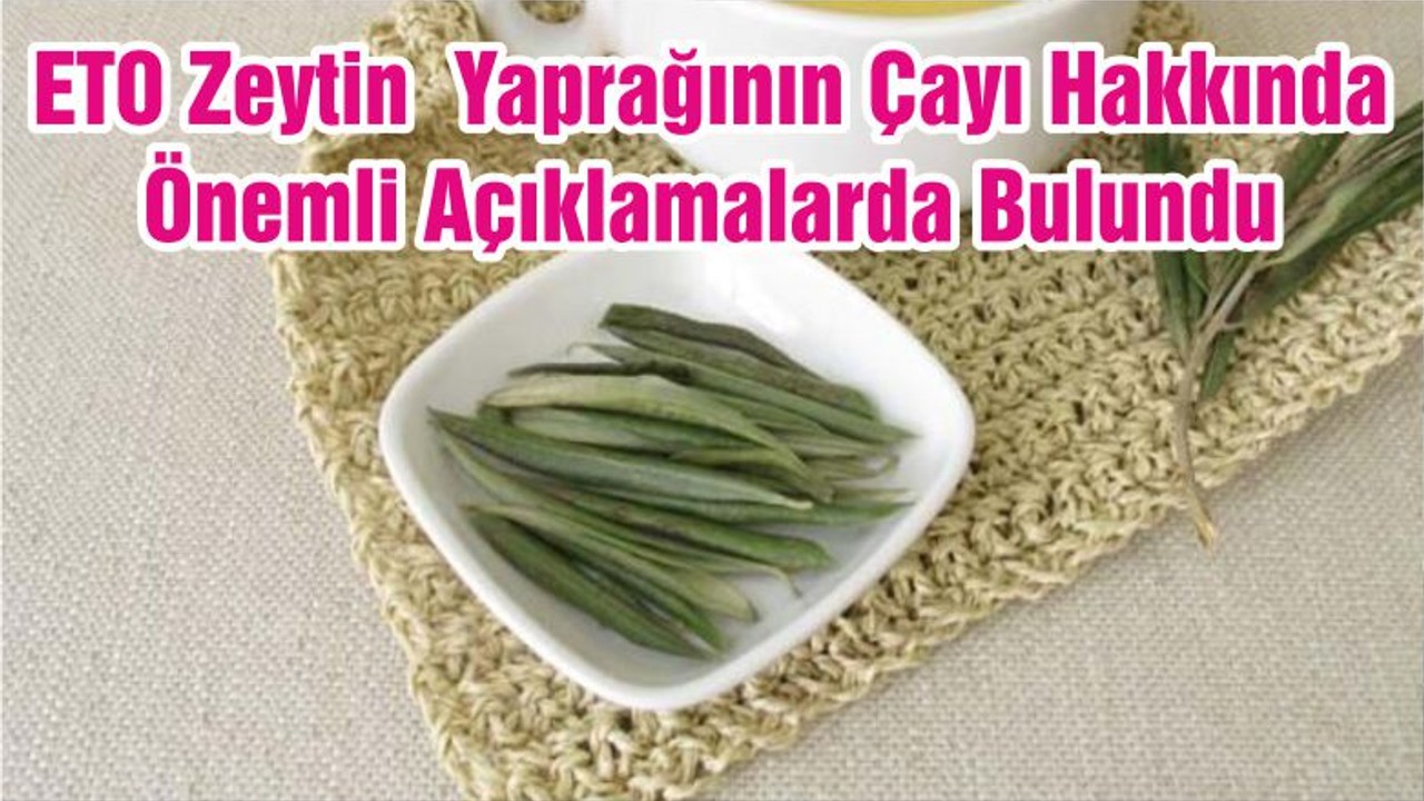 ETO Zeytin Yaprağının Çayı Hakkında Önemli Açıklamalarda Bulundu