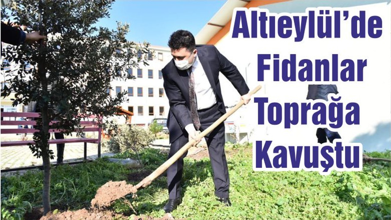 Altıeylül’de Fidanlar Toprağa Kavuştu