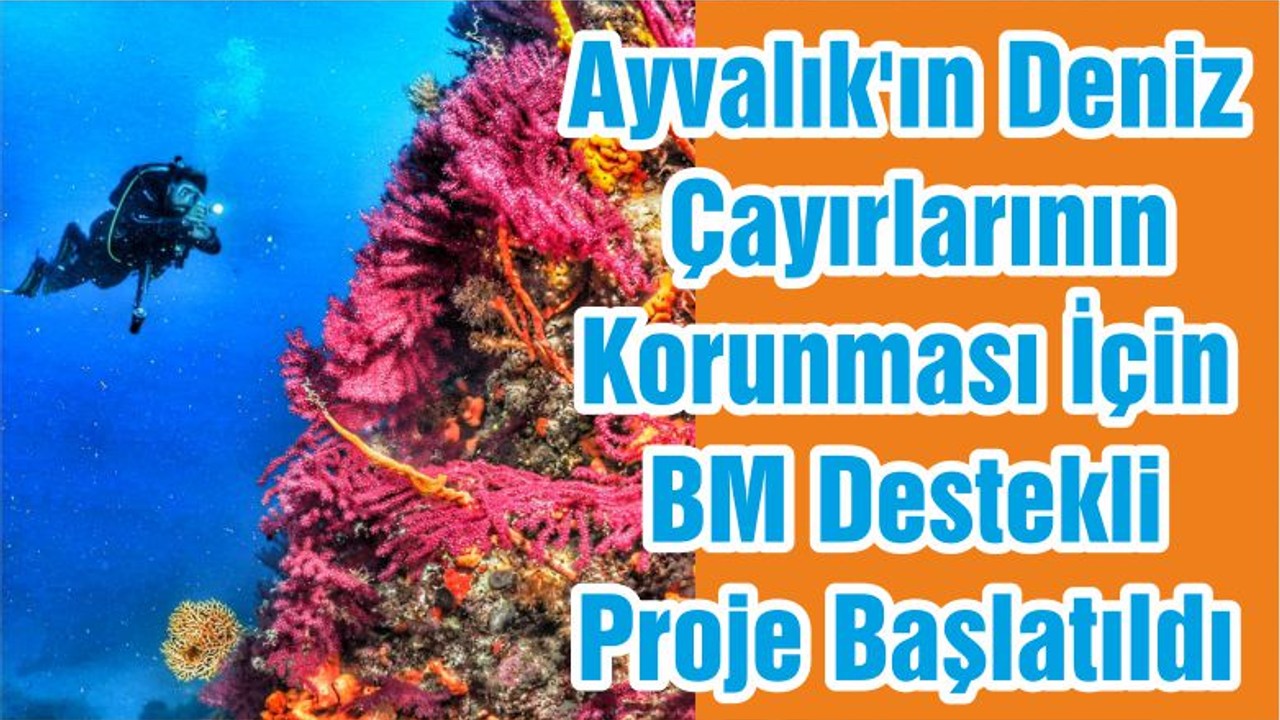 Ayvalık'ın Deniz Çayırlarının Korunması İçin BM Destekli Proje Başlatıldı
