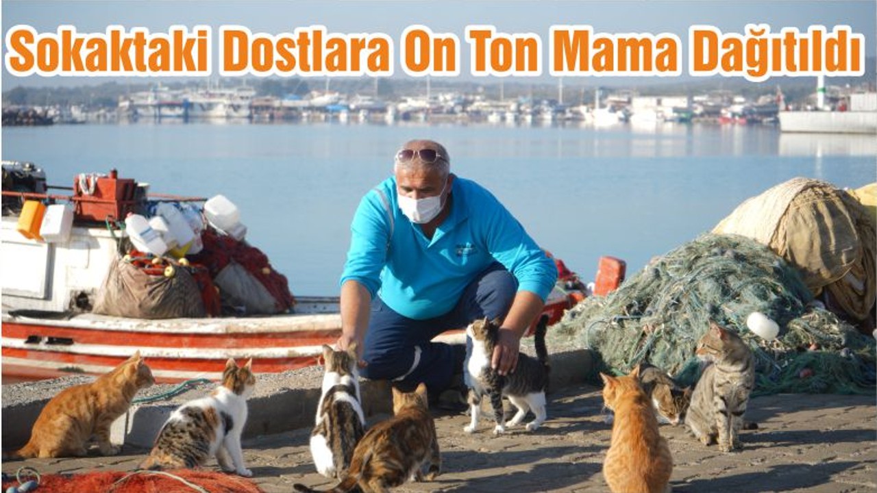 Sokaktaki Dostlara On Ton Mama Dağıtıldı