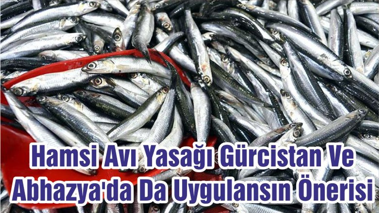 Hamsi Avı Yasağı Gürcistan Ve Abhazya'da Da Uygulansın Önerisi