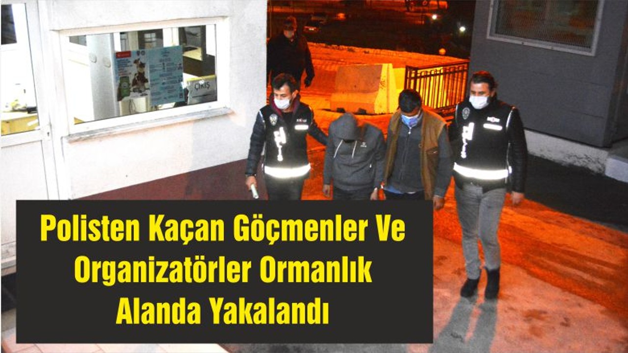 Polisten Kaçan Göçmenler Ve Organizatörler Ormanlık Alanda Yakalandı