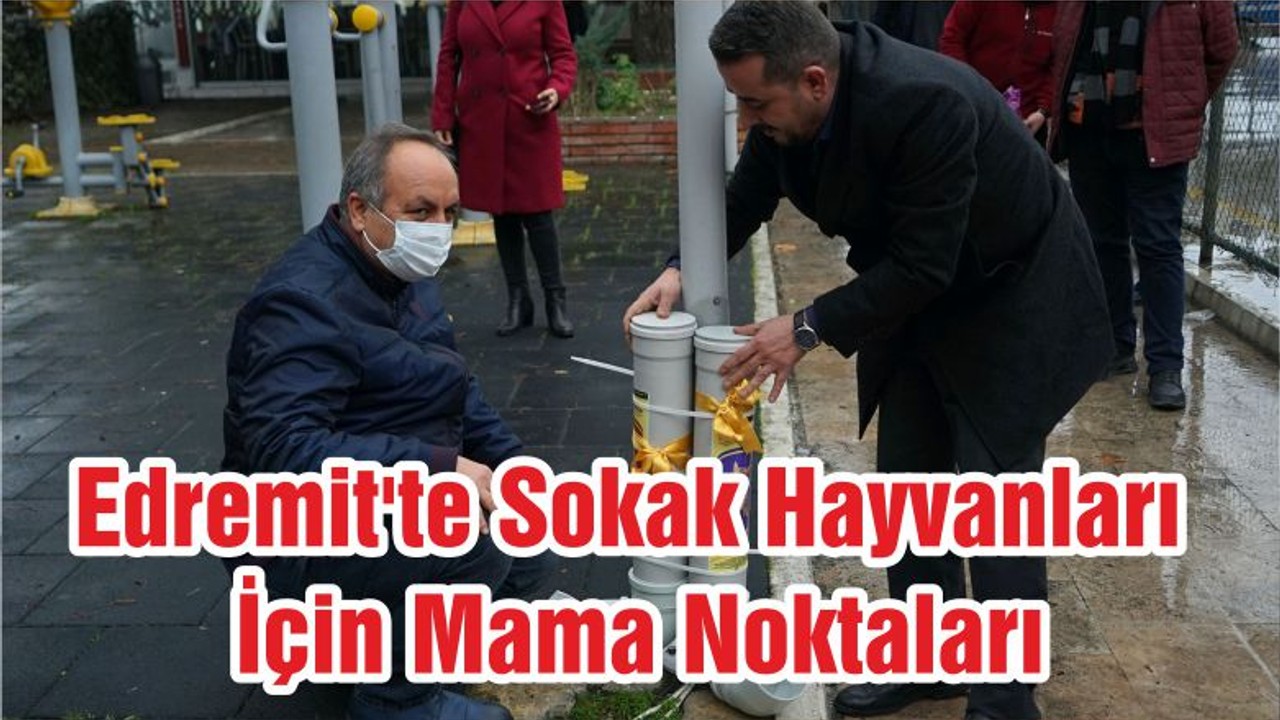 Edremit'te Sokak Hayvanları İçin Mama Noktaları