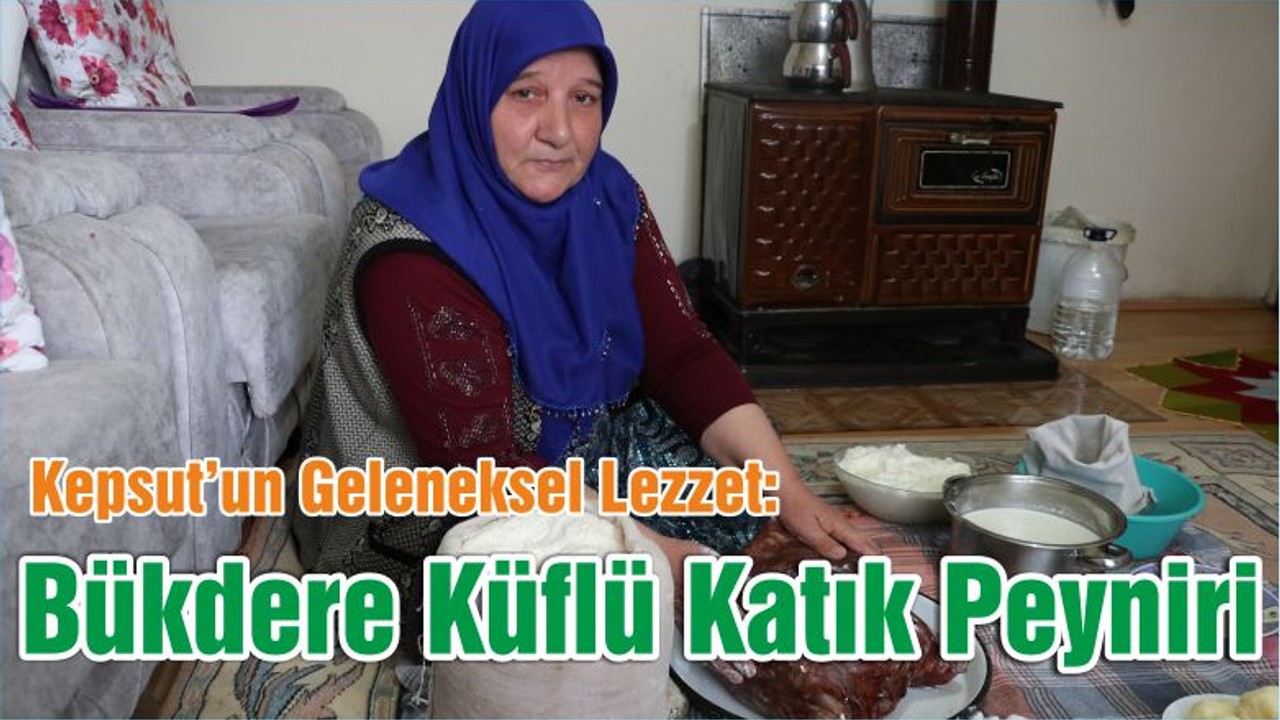 Kepsut’un Geleneksel Lezzet: Bükdere Küflü Katık Peyniri