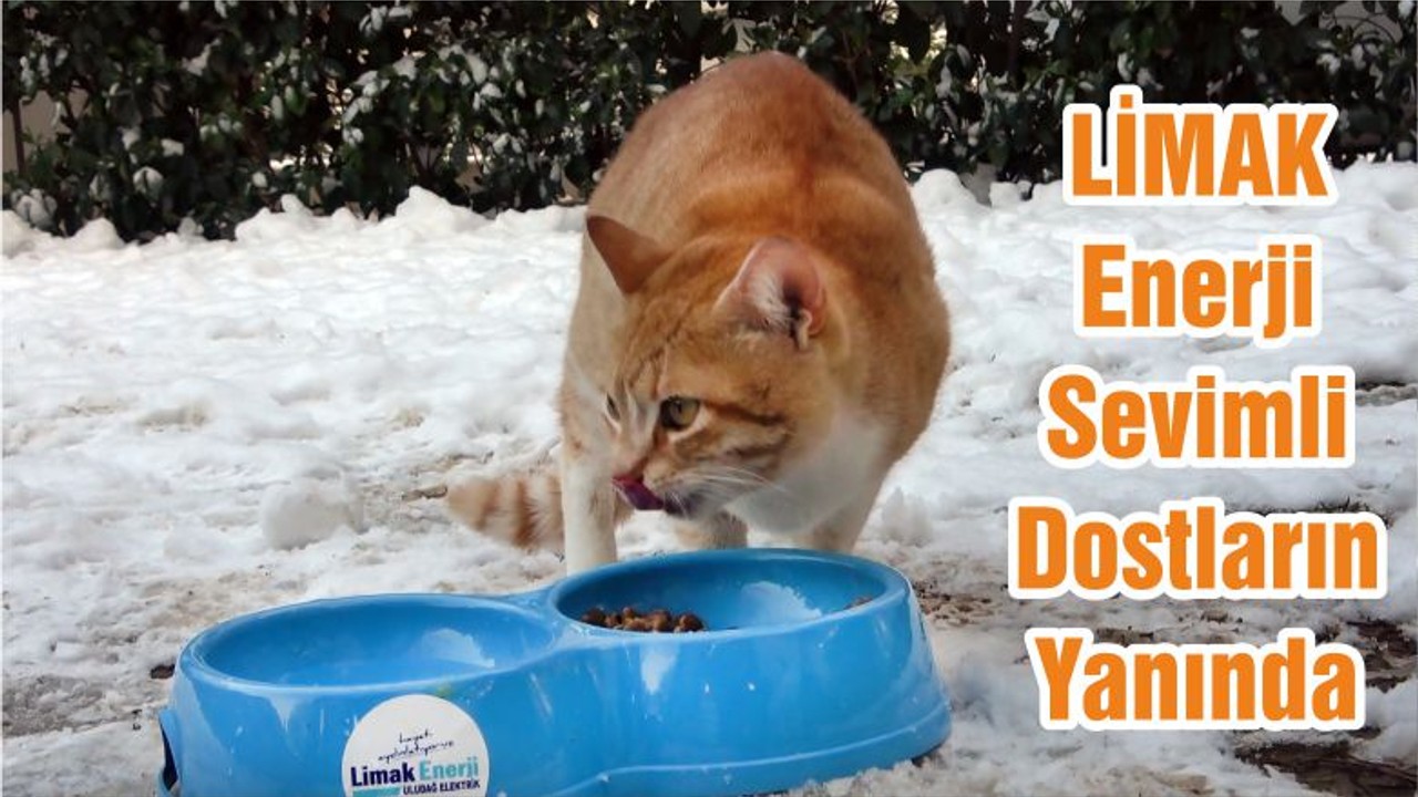 LİMAK Enerji Sevimli Dostların Yanında