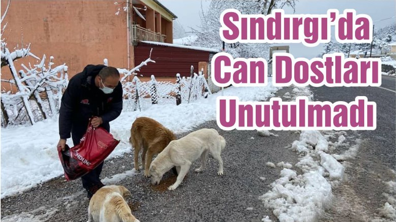 Sındırgı’da Can Dostları Unutulmadı
