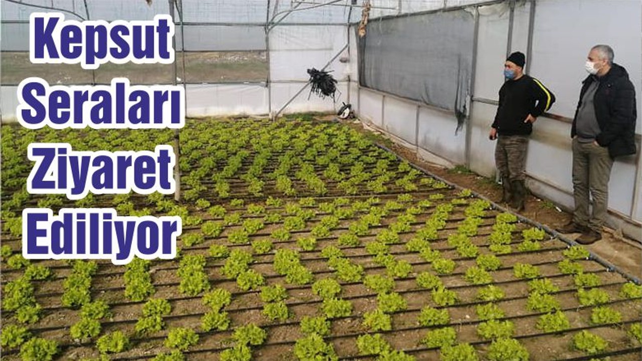 Kepsut Seraları Ziyaret Ediliyor