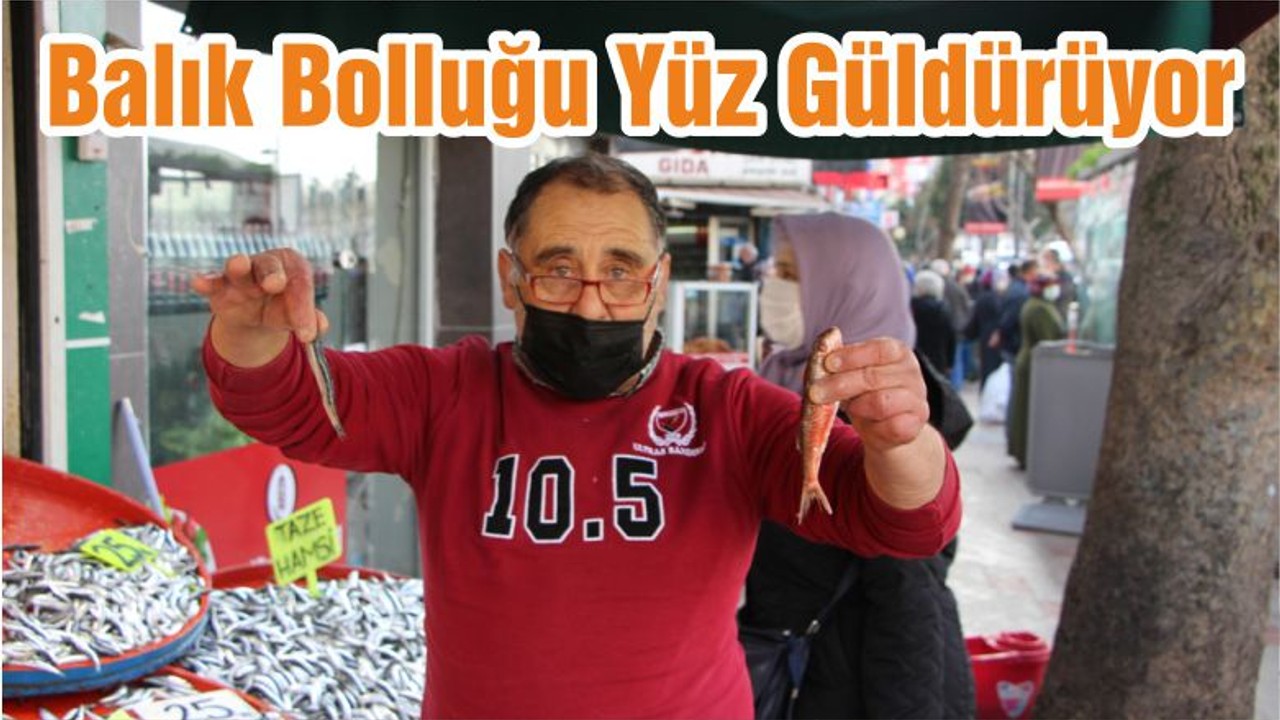 Balık Bolluğu Yüz Güldürüyor