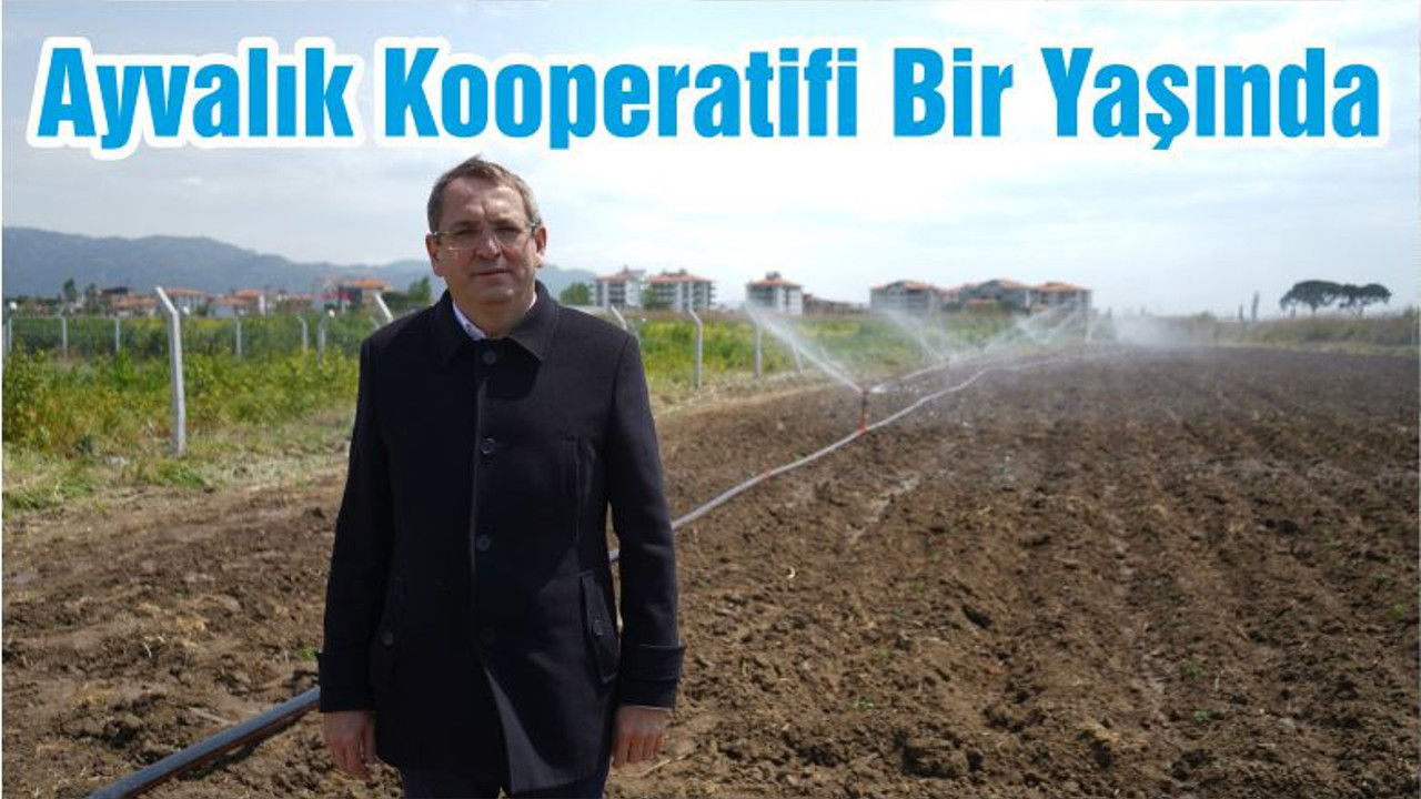Ayvalık Kooperatifi Bir Yaşında