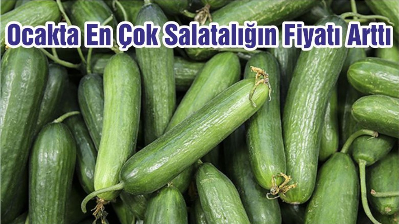 Ocakta En Çok Salatalığın Fiyatı Arttı