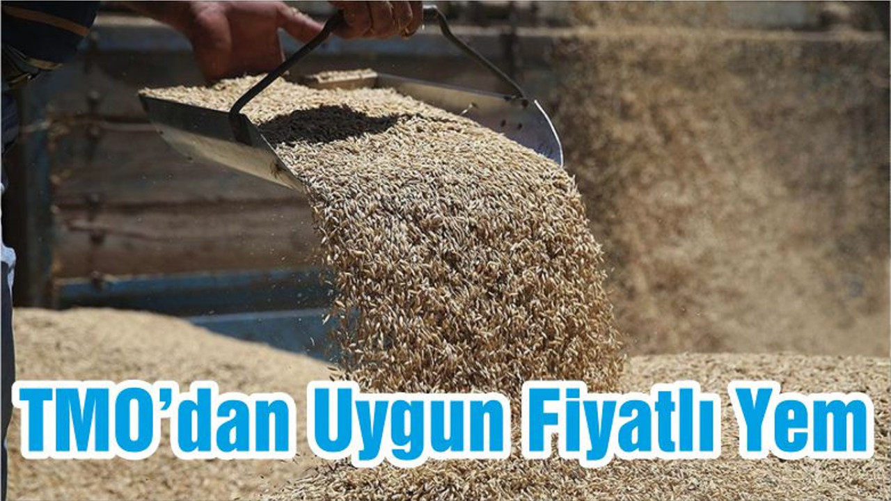 TMO’dan Uygun Fiyatlı Yem