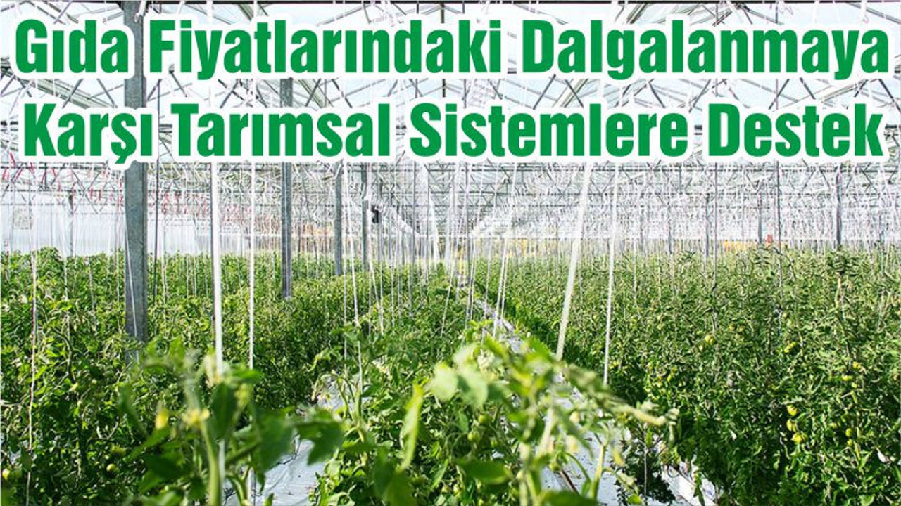 Gıda Fiyatlarındaki Dalgalanmaya Karşı Tarımsal Sistemlere Destek