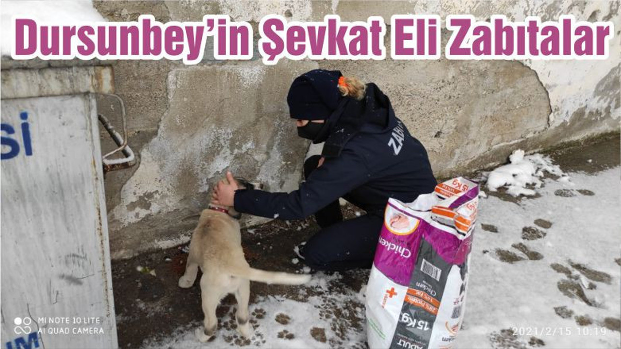 Dursunbey’in Şevkat Eli Zabıtalar