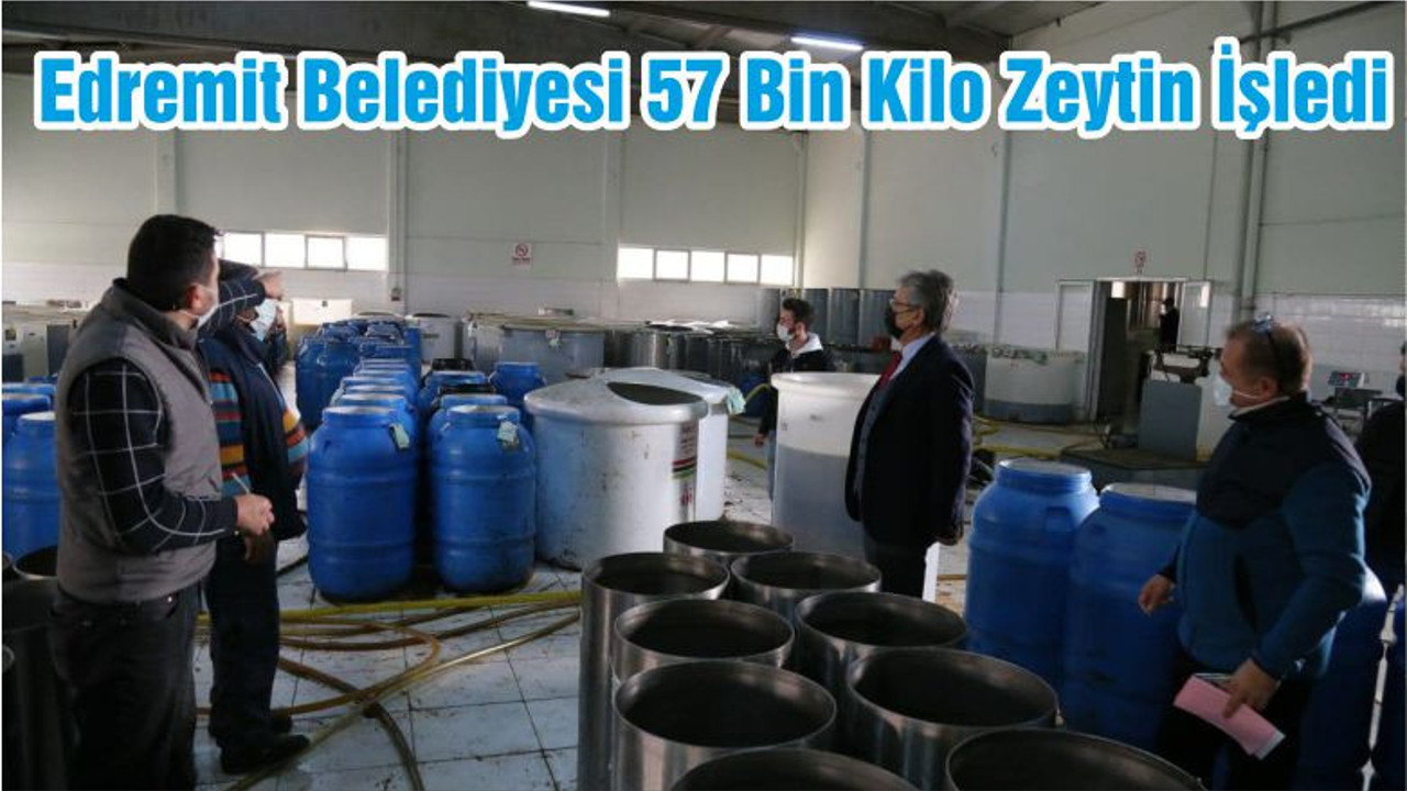 Edremit Belediyesi’ne Ait 57 Bin Kilo Zeytin İşlendi