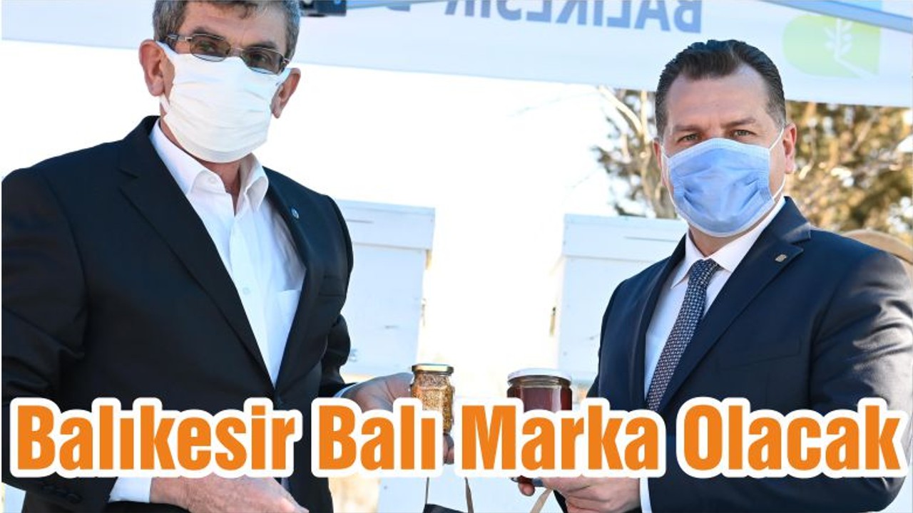 Balıkesir Balı Marka Olacak