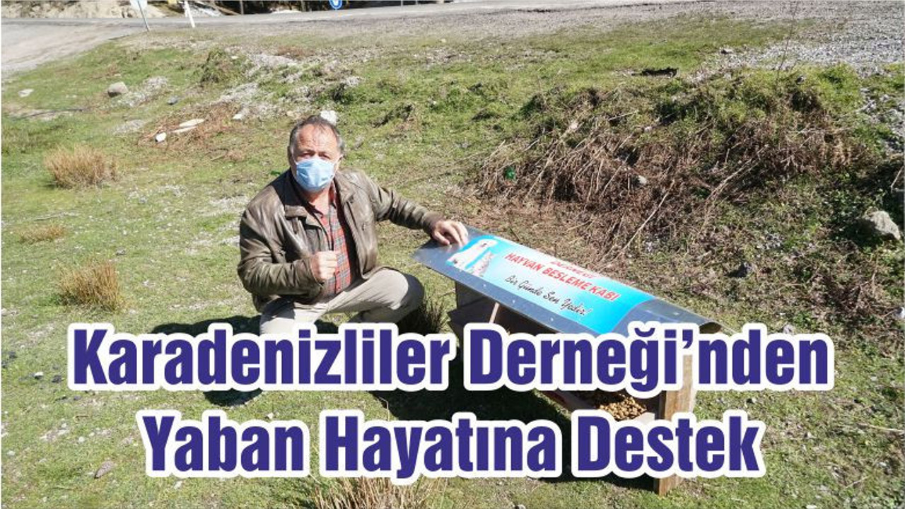 Karadenizliler Derneği’nden Yaban Hayatına Destek