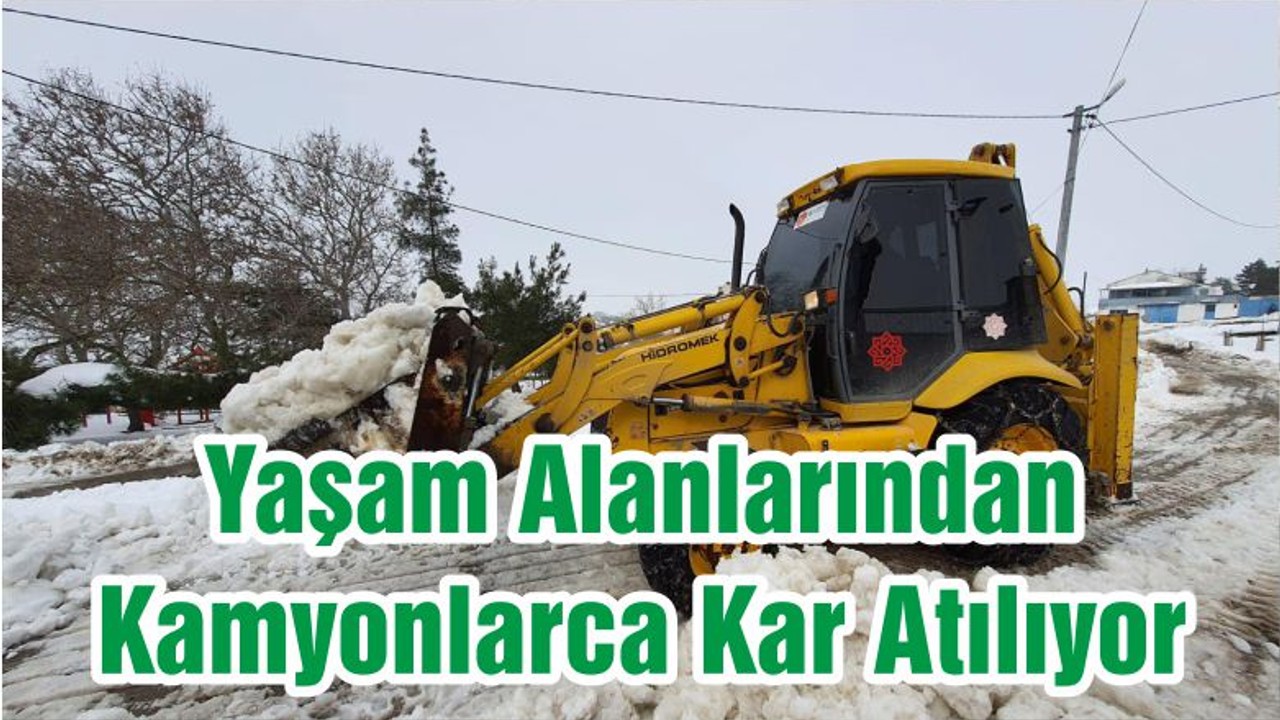 Yaşam Alanlarından Kamyonlarca Kar Atılıyor