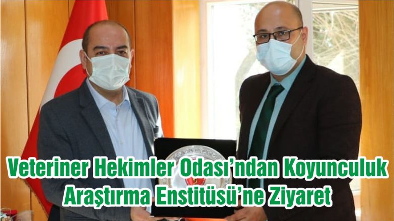 Veteriner Hekimler Odası’ndan Koyunculuk Araştırma Enstitüsü’ne Ziyaret