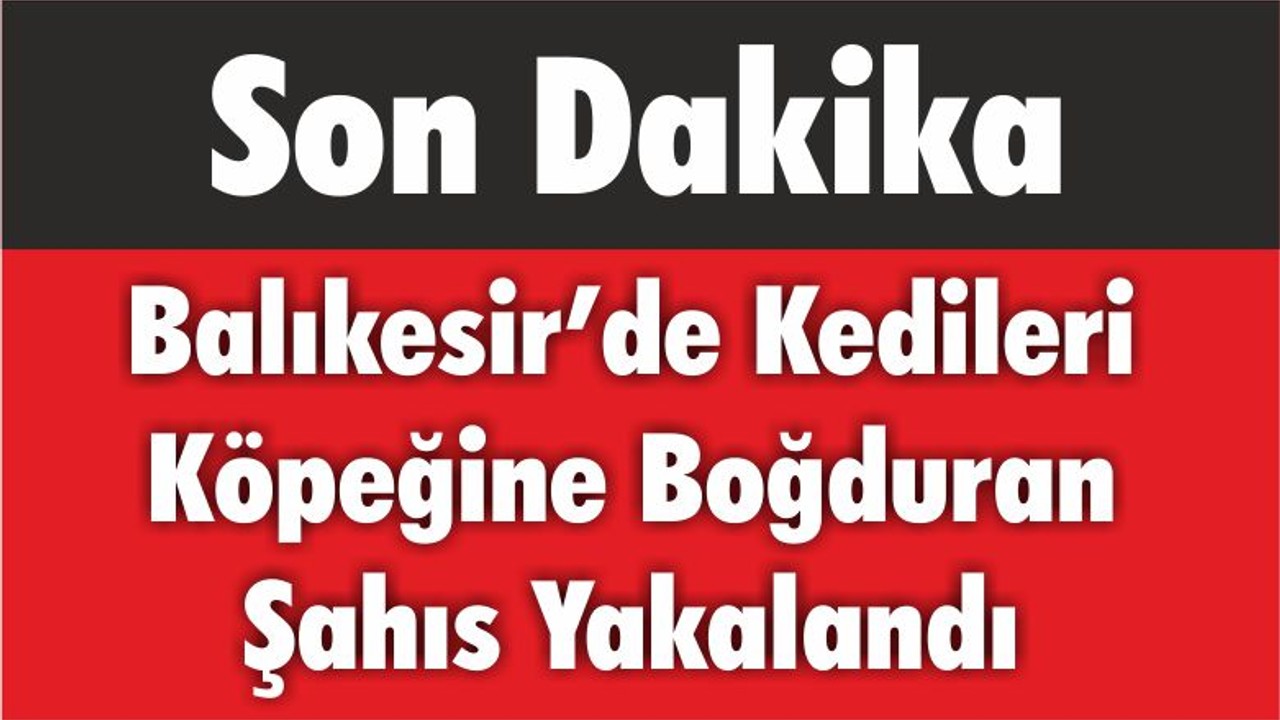 Balıkesir’de Kedileri Köpeğine Boğduran Şahıs Yakalandı