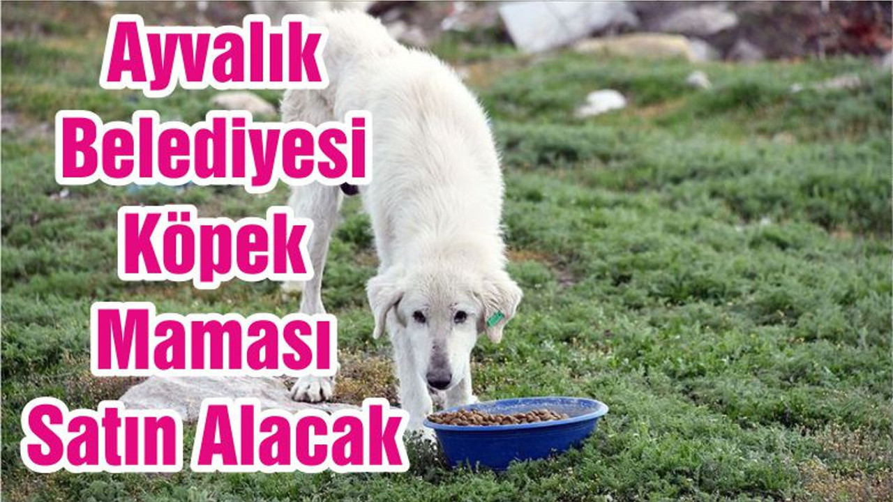 Ayvalık Belediyesi Köpek Maması Satın Alacak