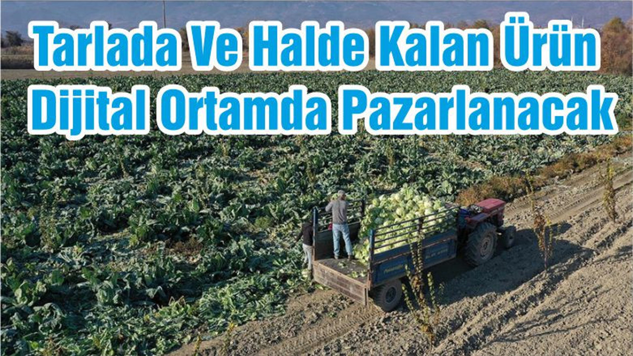Tarlada Ve Halde Kalan Ürün Dijital Ortamda Pazarlanacak