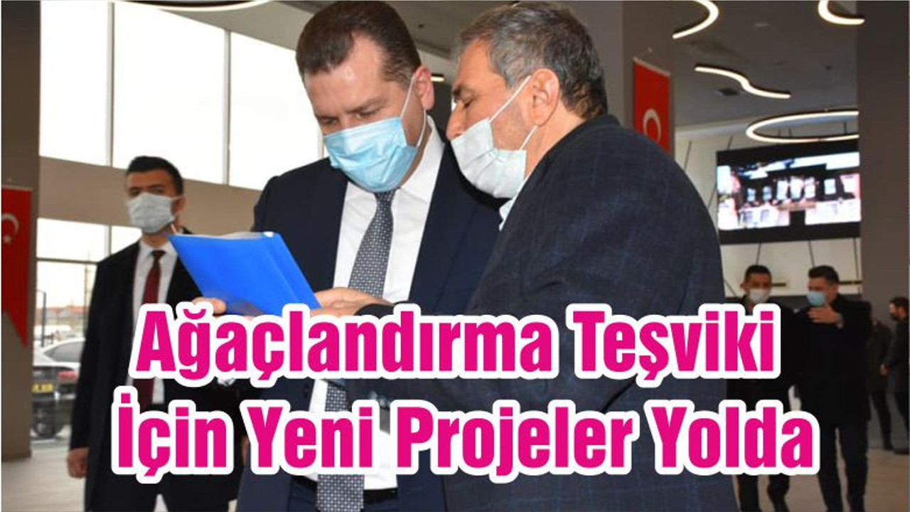 Ağaçlandırma Teşviki İçin Yeni Projeler Yolda
