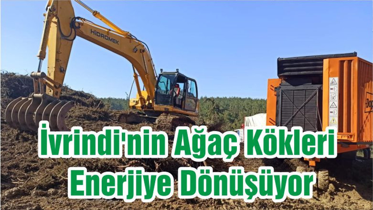İvrindi'nin Ağaç Kökleri Enerjiye Dönüşüyor