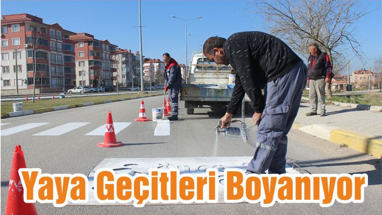 Yaya Geçitleri Boyanıyor