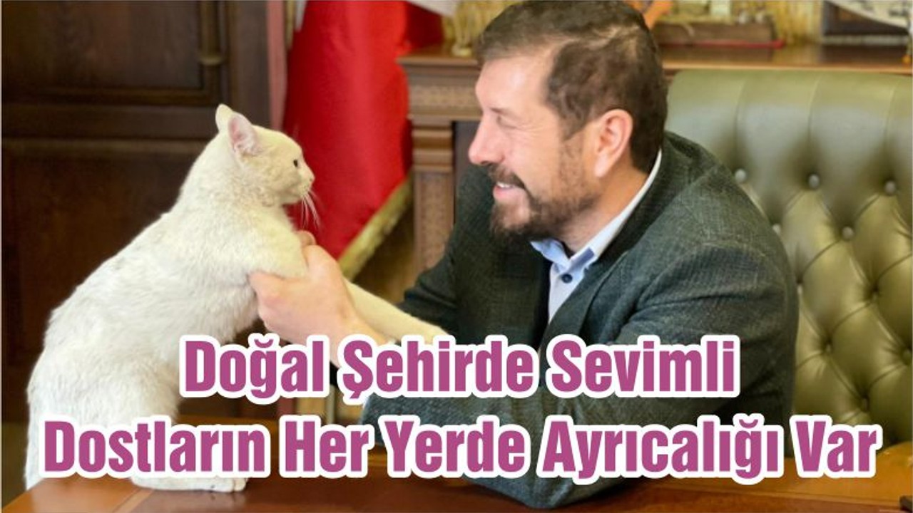 Doğal Şehirde Sevimli Dostların Her Yerde Ayrıcalığı Var