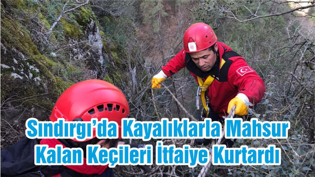 Sındırgı’da Kayalıklarla Mahsur Kalan Keçileri İtfaiye Kurtardı