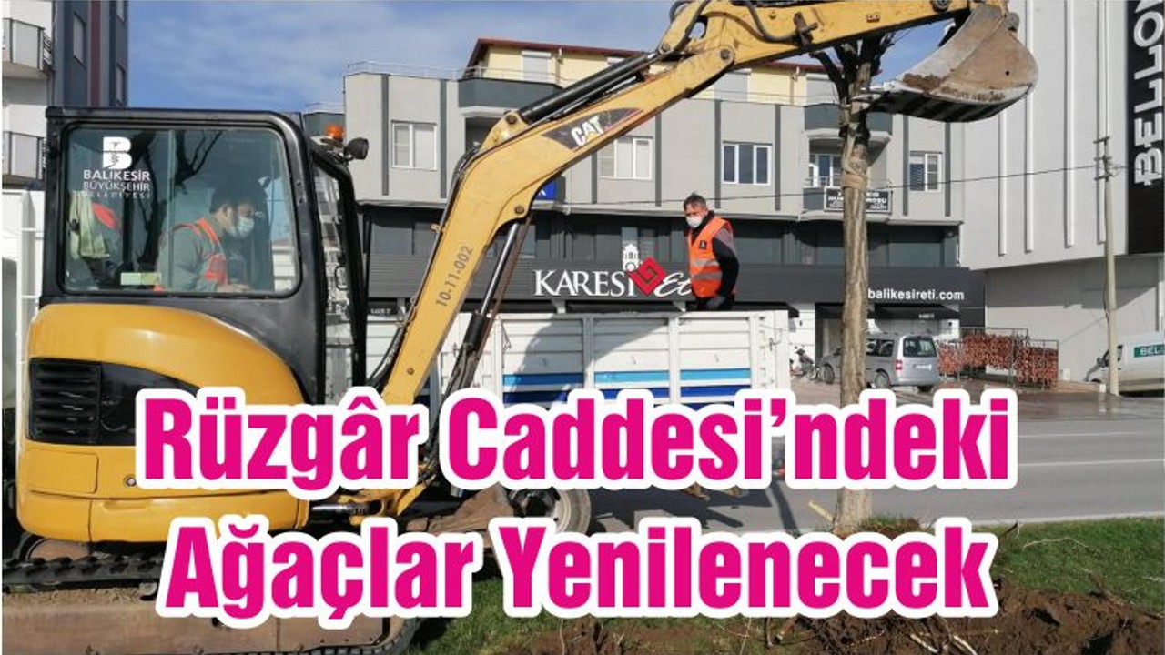 Rüzgâr Caddesi’ndeki Ağaçlar Yenilenecek