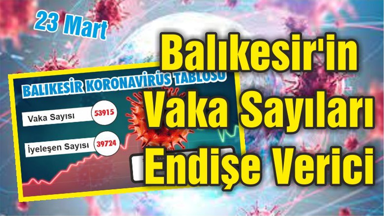Balıkesir'in Vaka Sayıları Endişe Verici