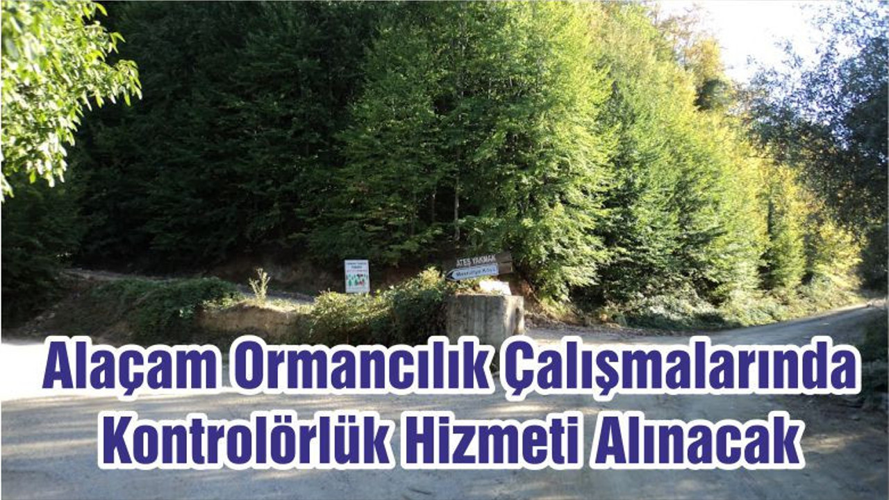Alaçam Ormancılık Çalışmalarında Kontrolörlük Hizmeti Alınacak
