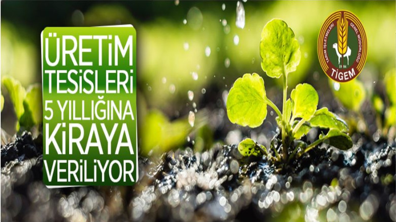 Üretim Tesislerini 5 Yıllığına Kiraya Veriliyor