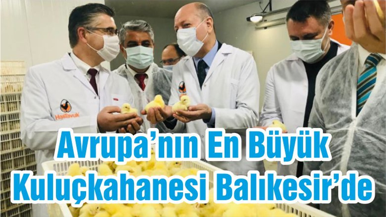 Avrupa’nın En Büyük Kuluçkahanesi Balıkesir’de